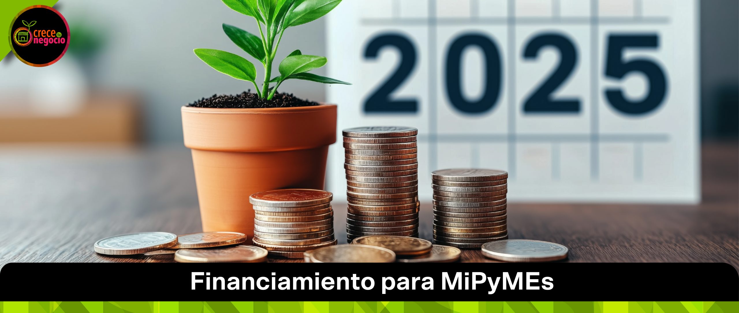 Financiamiento para MiPyMEs 